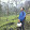 Arie Juniawan