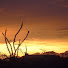 4_TWu3lQqnI-channel-avatar-Mike The Desert Rat