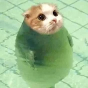 Nana Neko