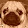 6 Puga Gus