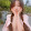 19 한영우