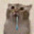 フリーダムライアン