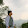 Narendra Gade