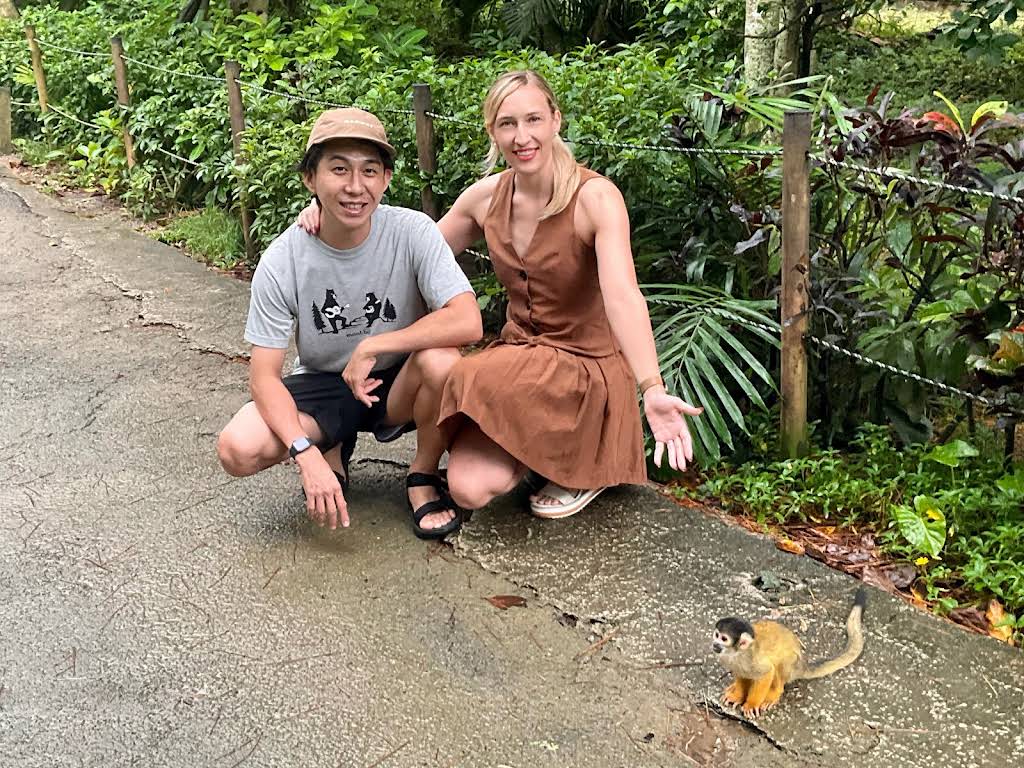 「午後の最後の日射 : アジアの島へ」 午後の最後の日射 : アジアの島へ」 午後の最後の日射 アジアの