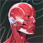 Topanatomy: Видеоролики для медиков