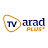 TV Arad +