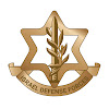Israel Defense Forces