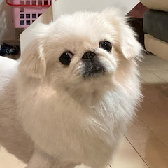 TOCHIYAとちや