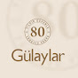 Gülaylar Altın Youtube video kanalı Profil Fotoğrafı Gülaylar Altın Youtube video kanalı Profil Fotoğrafı