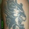 warriorlight05