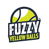 FYB2007