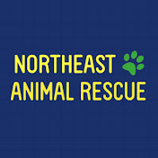Northeast Animal Rescue, China