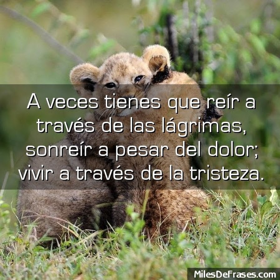 Resultado de imagen de milesdefrases.com imagenes