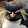 Hungry Penguin