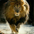 safar ashrafi