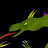 32 DragoNate