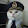 Admiral Cat
