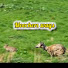 8H5laq5kXik-channel-avatar-Moochers Ways