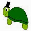 TurtleShroom
