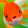 Acuarios goldfish