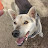 ぽんた