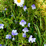 cVOGwGLSTaI-channel-avatar-Speedwell Travel
