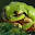 NaughtyFrog With Attitude