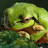 NaughtyFrog With Attitude