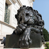 Corcoran Gallery of Art and College of Art + Design