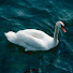 dlLCDLidjoE-channel-avatar-Socratic Swansongs