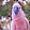 The pink Macaw