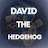 David the Hedgehog