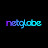 Netglobe Cyber Security