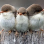 Miniature