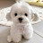 @사나운겁쟁이사랑이