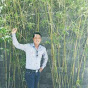 Trung Anh