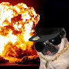 Chief Doggingfood