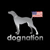 Dog Nation