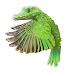 Flyingcrocodile46
