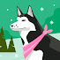 Tamoshi_