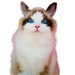 歡樂大秀場アイコン画像