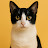 @cuteanimals-s4q Avatar