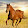 Amazing Ava Horse