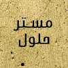 مستر حلول