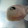 SuperFishyIsAwesome GoldFish