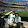 Jeff King the proud Jets fan