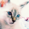 kether12
