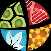 iBioEducation