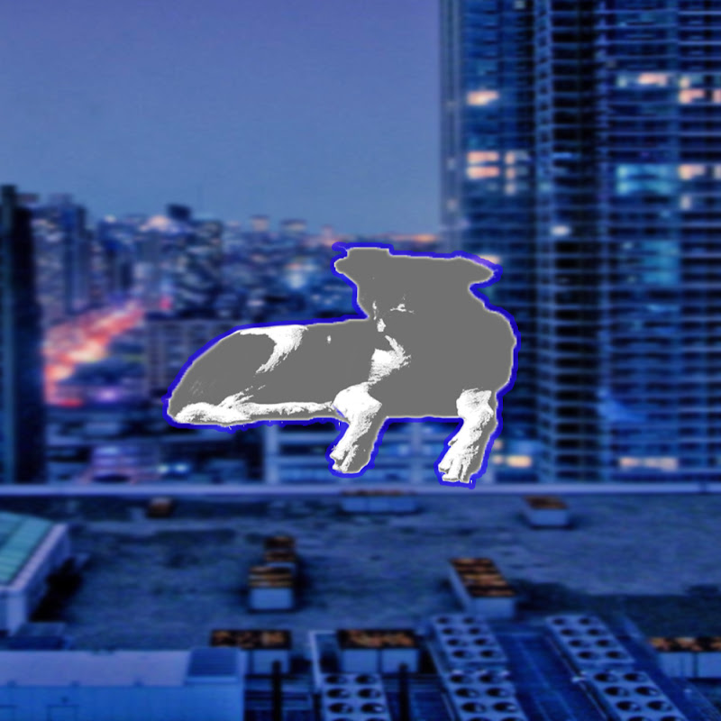 Fanlink profile picture for @eliezer