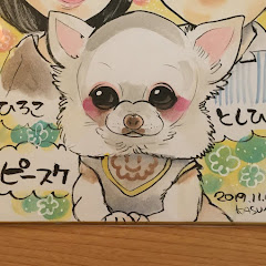 ぴよぴよピースケ